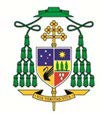 Archbishop Timothy Costelloe Homily for Plenary Council Opening Mass.jpg Archbishop Timothy Costelloe Homily for Plenary Council Opening Mass.jpg